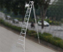 �rˇ��CQNYϵ��